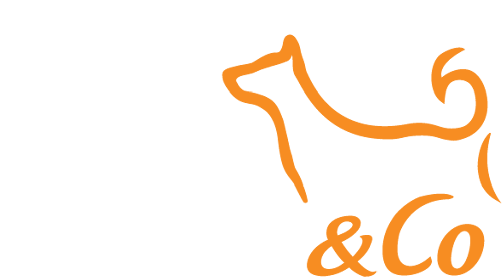 Canine & Co